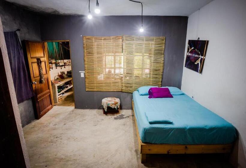 استودیوی استاندارد, Black Jaguar Hostel