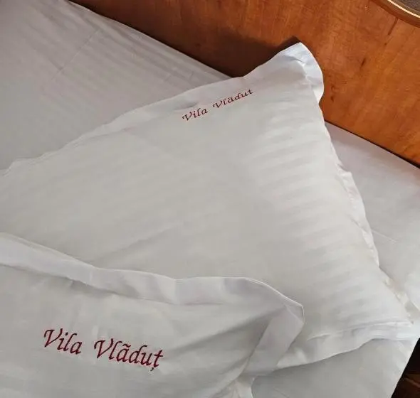 Standard-huone, Vila Vlăduț