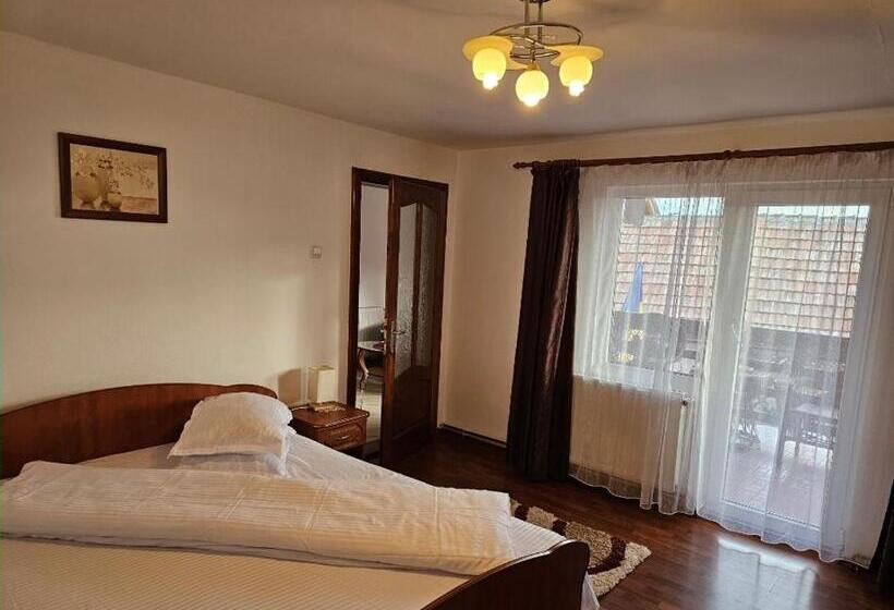 Номер Стандарт, Vila Vlăduț