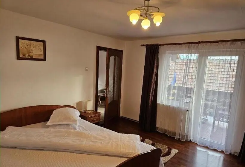 Standard-huone, Vila Vlăduț