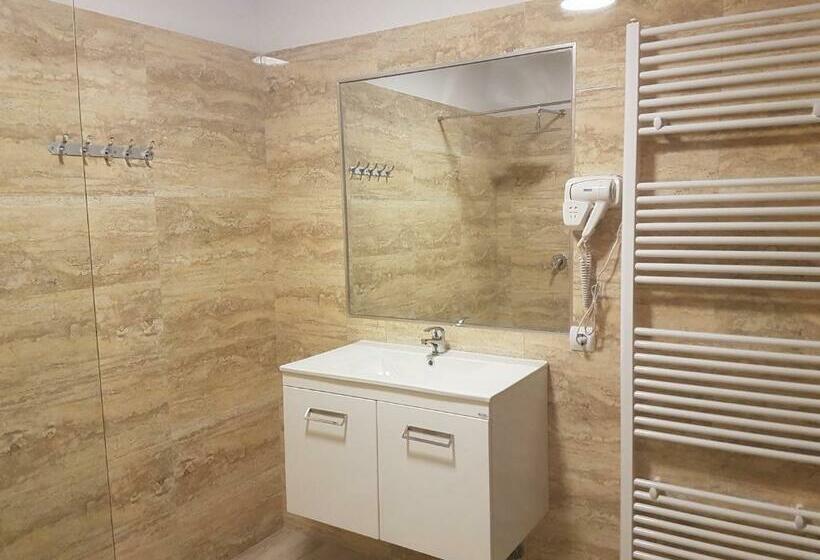 Номер Стандарт, Pensiunea Ok