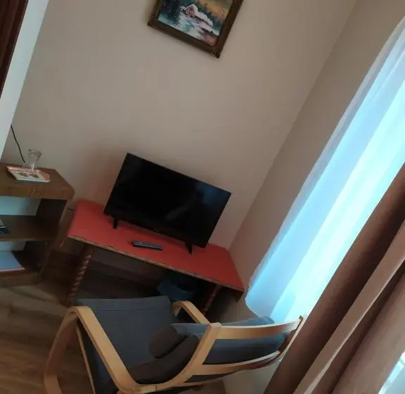 スタンダードシングルルーム, Szilvia Panzió Gyomaendrőd