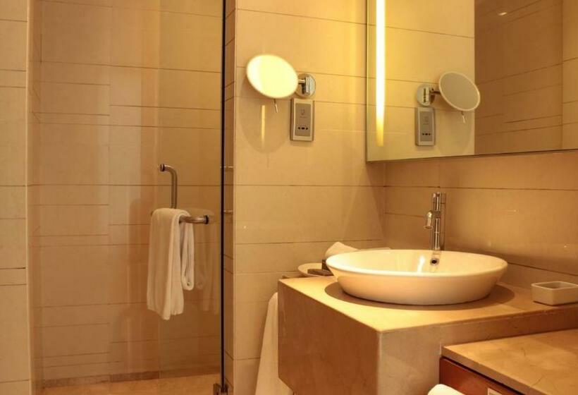 스탠다드 룸 킹사이즈 침대, Hyatt Pune