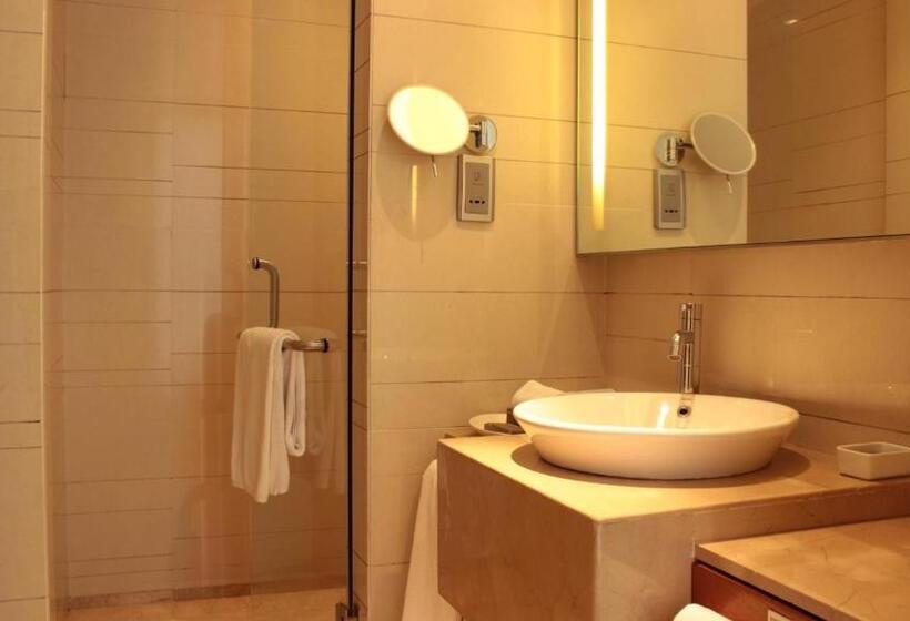 Люкс, Hyatt Pune