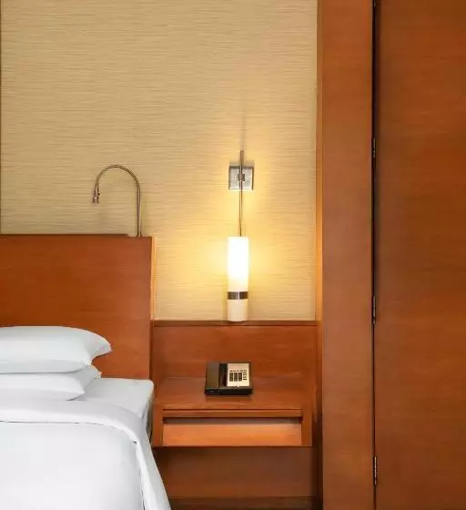 スタンダードルーム, Hyatt Pune