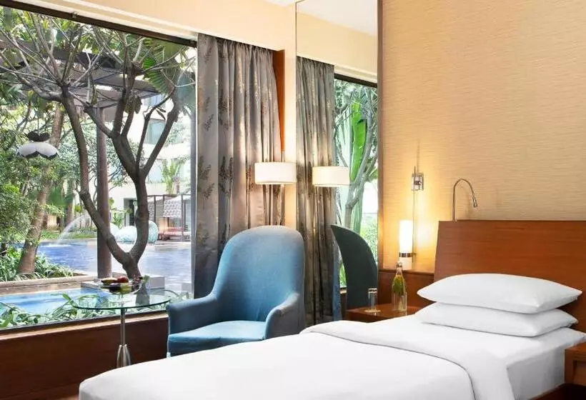 プールビュースタンダードルーム, Hyatt Pune