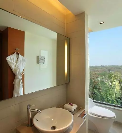 プールビュースタンダードルーム, Hyatt Pune
