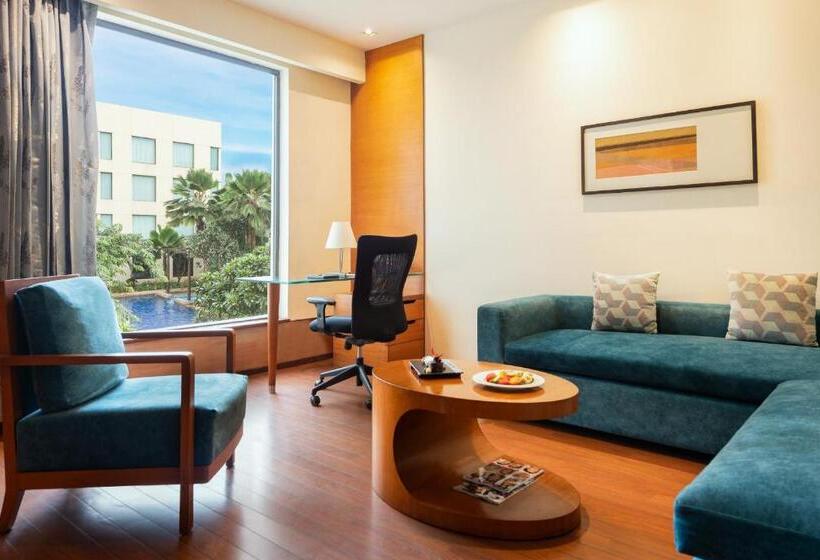 Люкс, Hyatt Pune