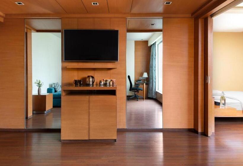 Люкс, Hyatt Pune