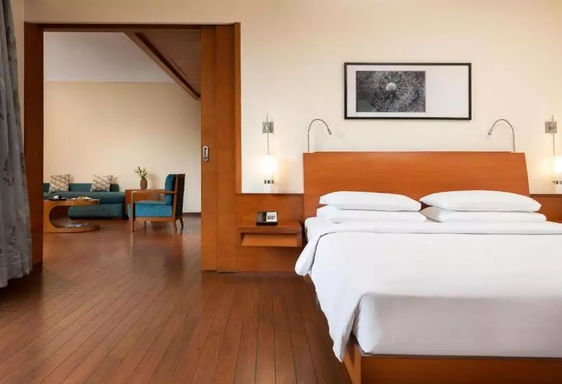 スイート, Hyatt Pune
