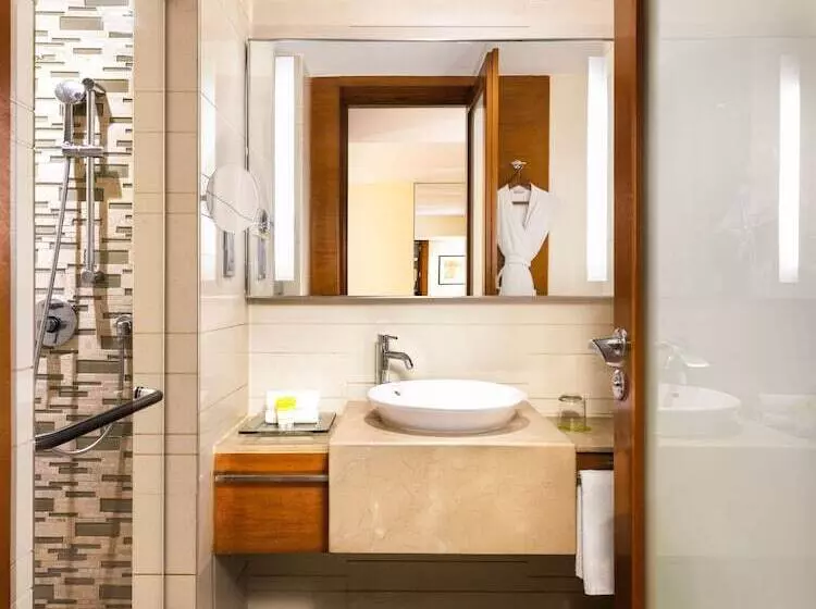 スタンダードルーム, Hyatt Pune