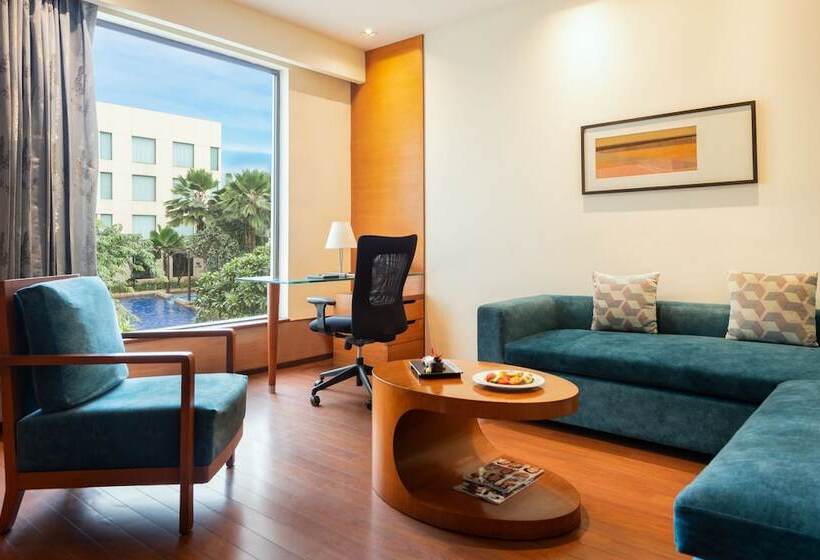 Люкс, Hyatt Pune