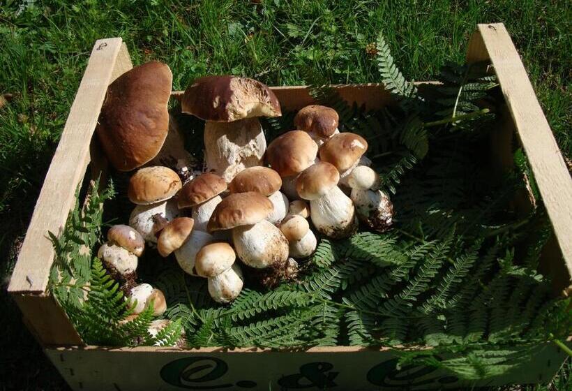 テラス付きスタンダードルーム, La Canopėe 19