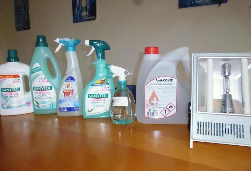 スタンダードルーム, Penzion Kelčany U Kyjova