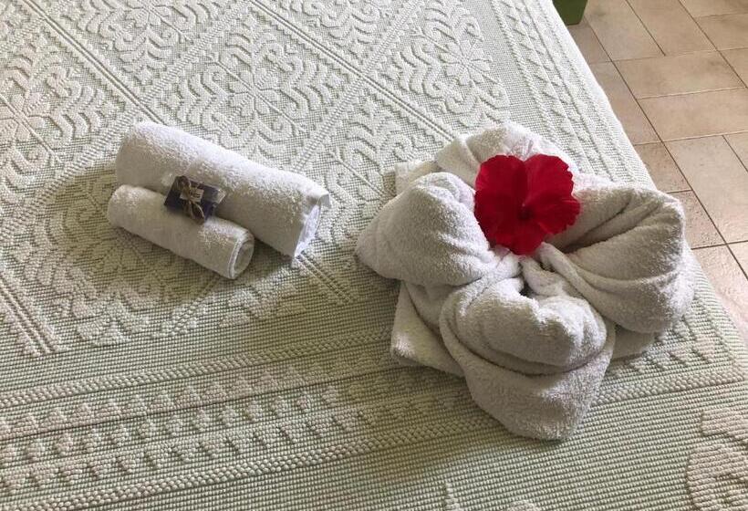 اتاق استاندارد, B&b La Pintadera