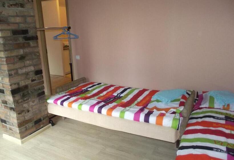 اتاق استاندارد سه تخته با سرویس بهداشتی مشترک, Nakvynė Rokiškyje