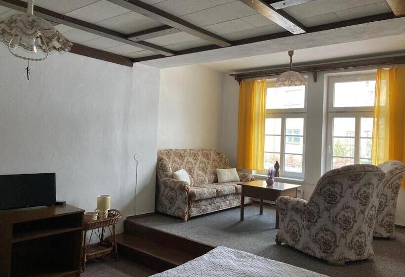 带1个卧室的公寓, Penzion Breuer