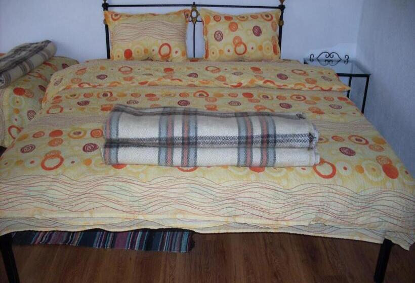 Номер Стандарт, Tsutsovi House