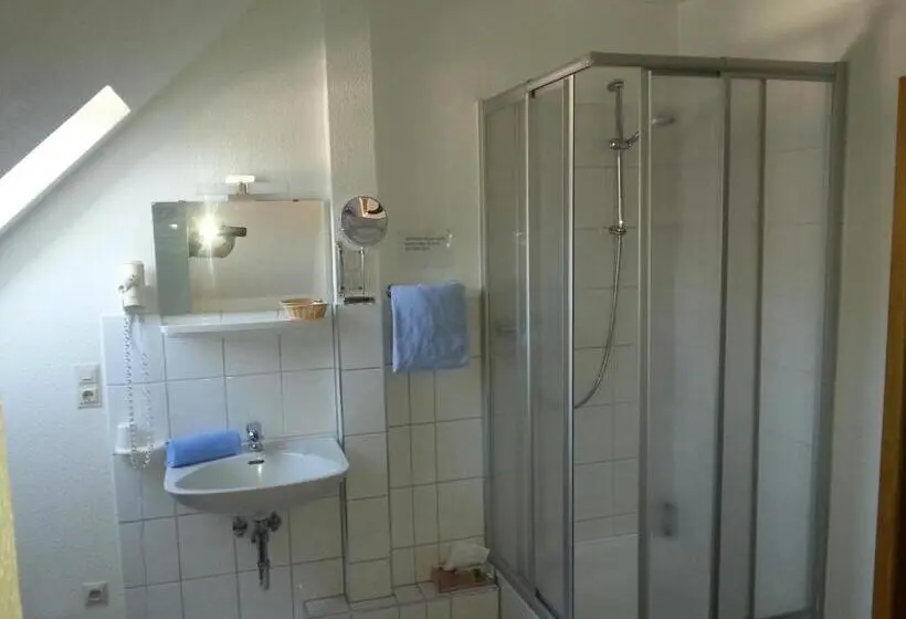 اتاق استاندارد یک نفره, Pension Haus Butz