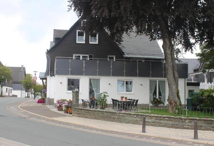 Номер Стандарт с Балконом, Pension Haus Butz