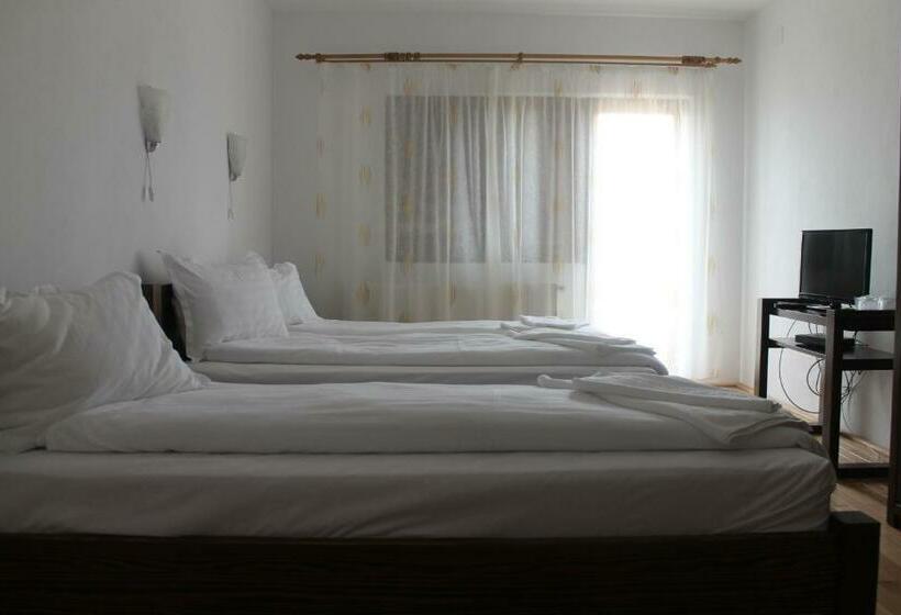 Номер Стандарт Трехместный, Pensiunea Muntele Alb