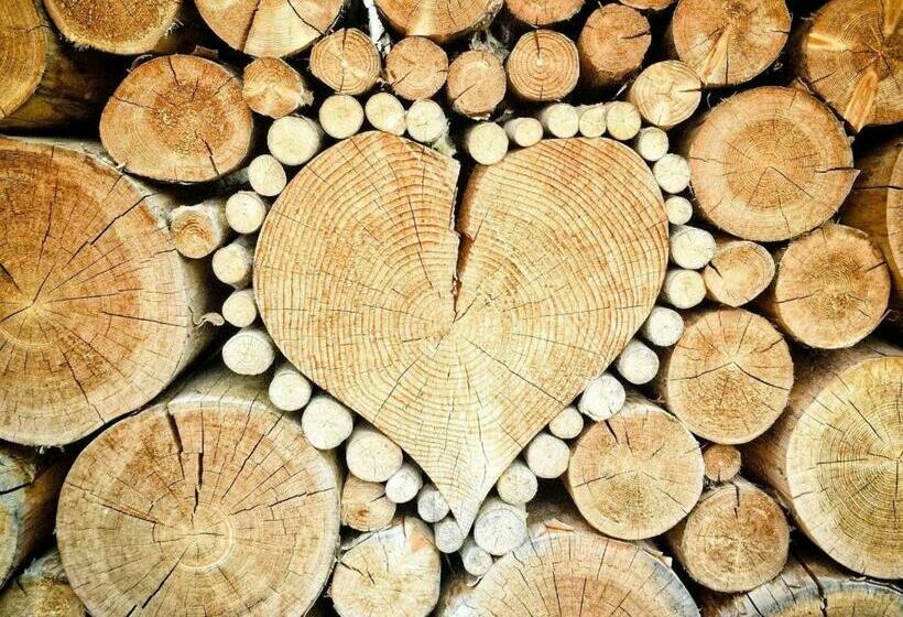 اتاق استاندارد با چشمانداز کوهستان, сімейний еко готель вежа бойка