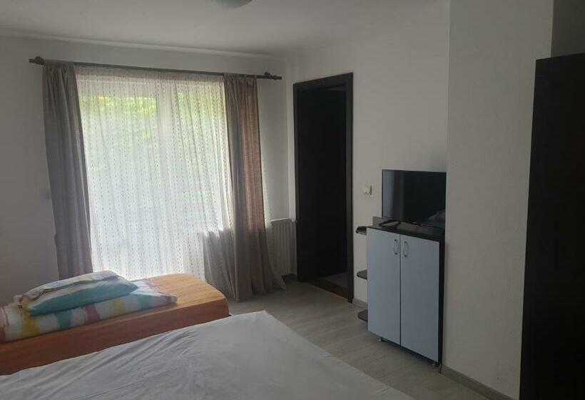 Номер Стандарт Трехместный, Vila Brandusa