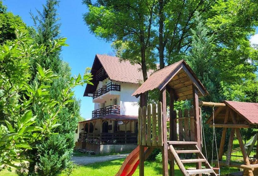 Вилла 1 Спальня, Vila Brandusa