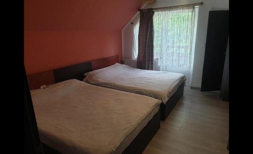 Четырехместный Номер Стандарт с Балконом, Vila Brandusa