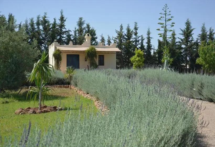 اتاق استاندارد, Riad Le Ksar De Fes