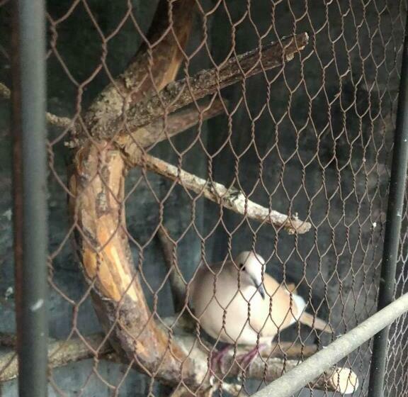 Номер Стандарт, къща за гости градината