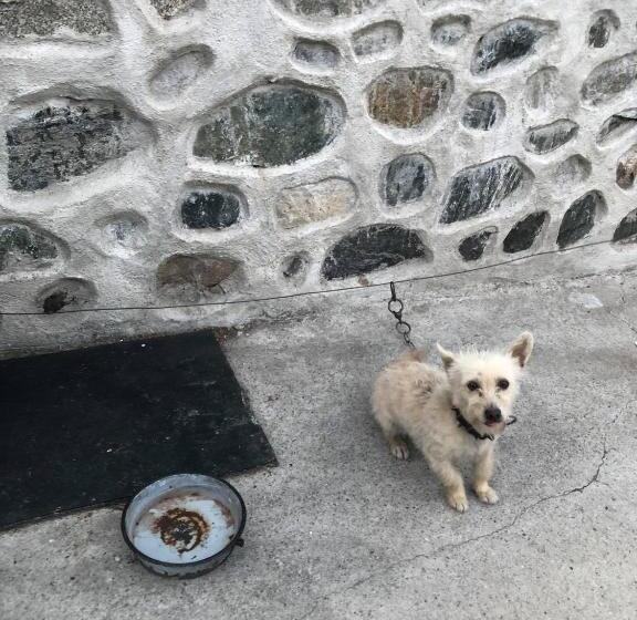 Номер Стандарт Трехместный, къща за гости градината