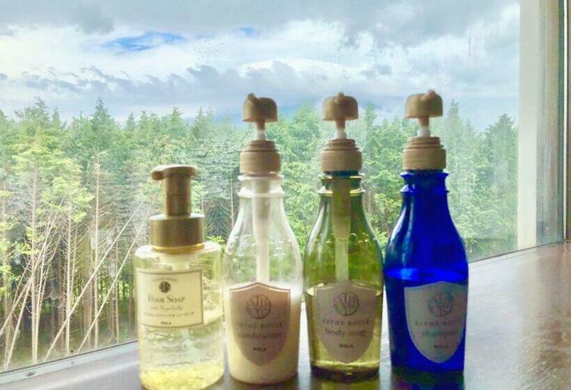 اتاق اکونومی, Fuji Yamanakako Resort