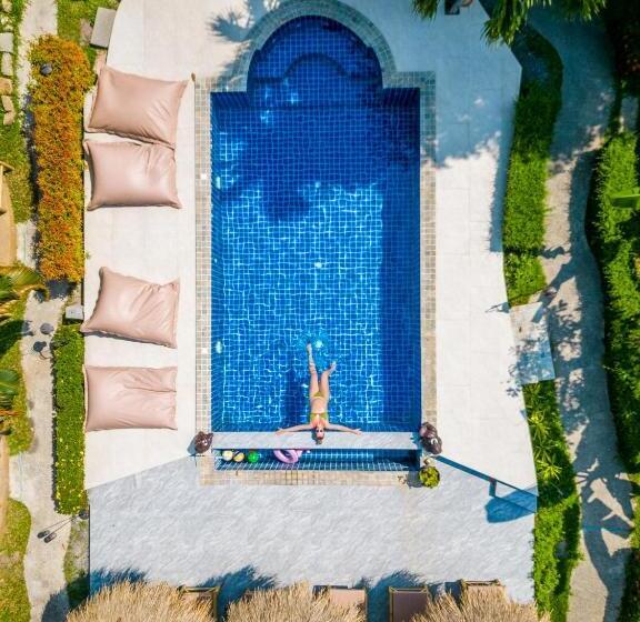 بنجلو قياسى, Avocado Koh Samui