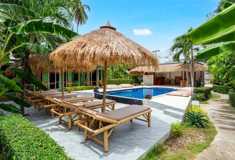 豪华洋房, Avocado Koh Samui