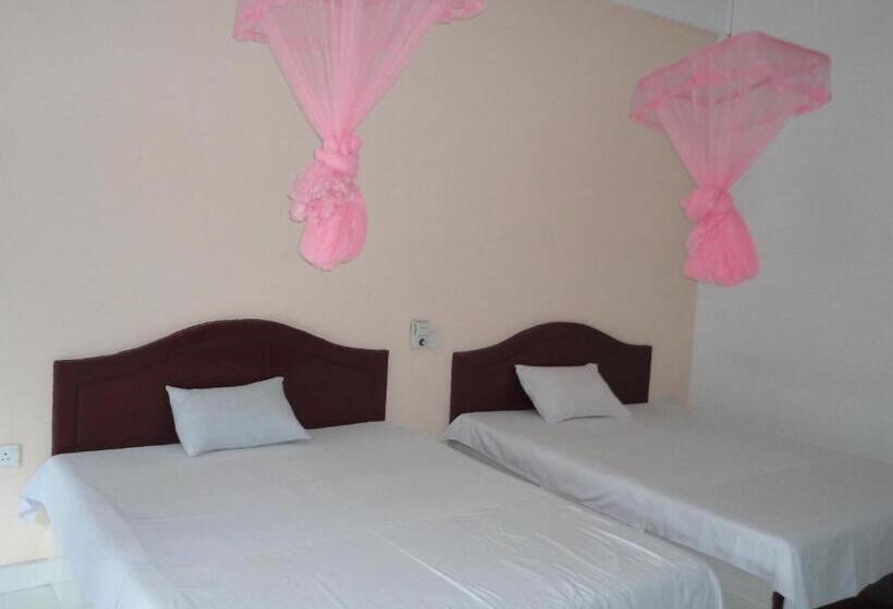 ファミリールーム, White Elephant