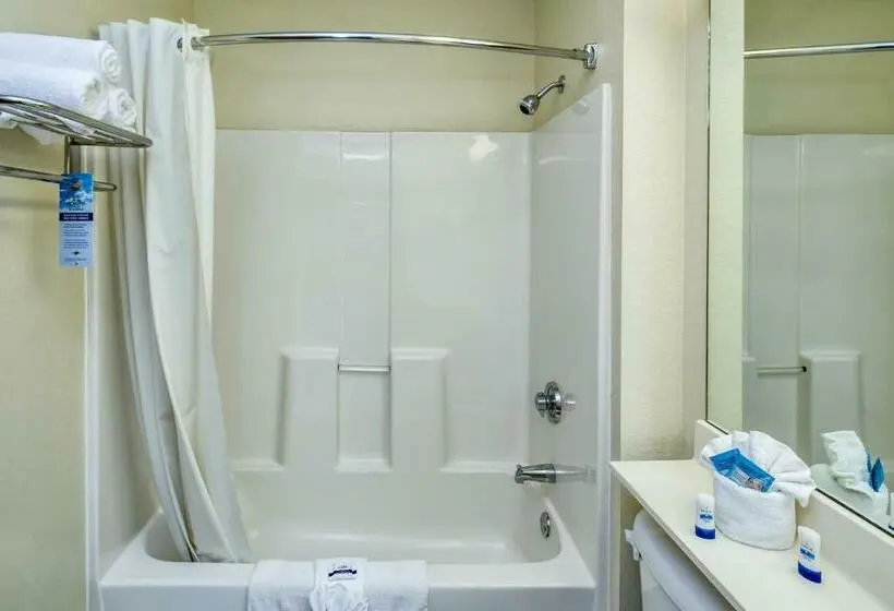 スタンダードルーム, Microtel Inn & Suites Leesburg