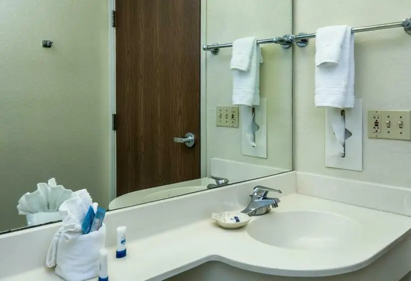 身障者適用スタンダードルーム, Microtel Inn & Suites Leesburg