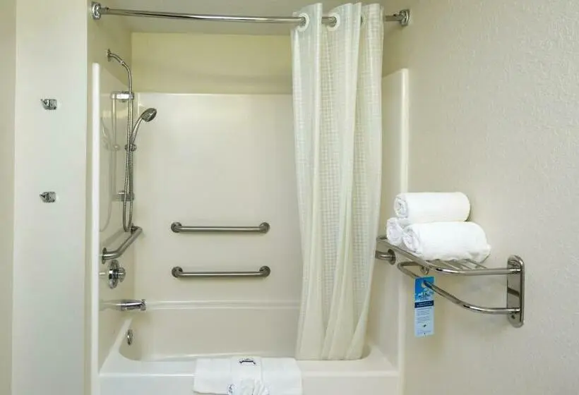 身障者適用スタンダードルーム, Microtel Inn & Suites Leesburg