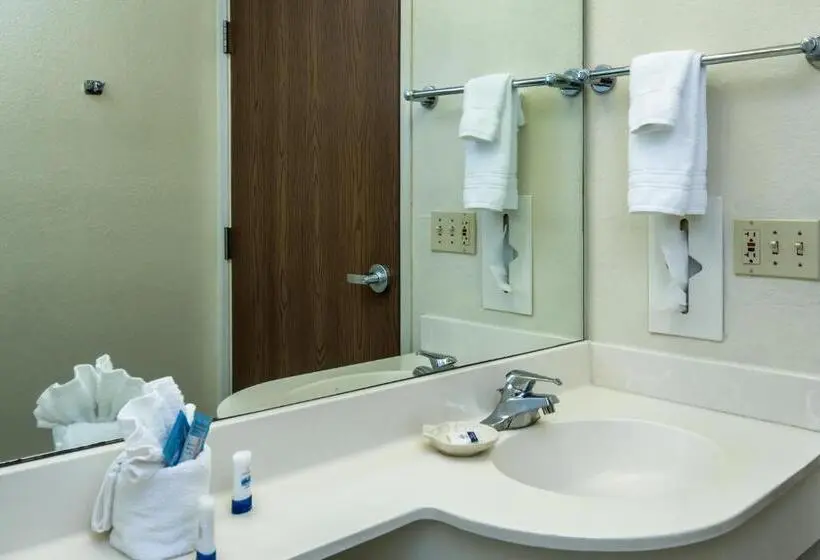 スタンダードスタジオ, Microtel Inn & Suites Leesburg