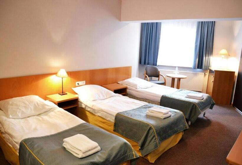 Номер Стандарт Трехместный, Orlik