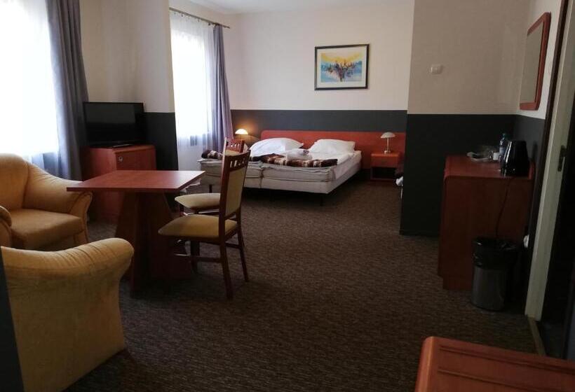 エコノミートリプルルーム, Rezydencja Bristol Kaiserhof 1858