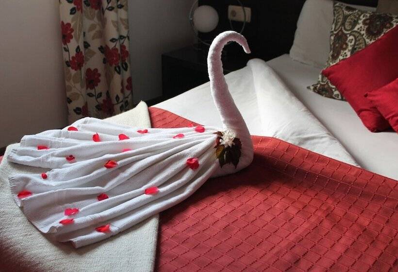 小型套房, Loftotel Canet