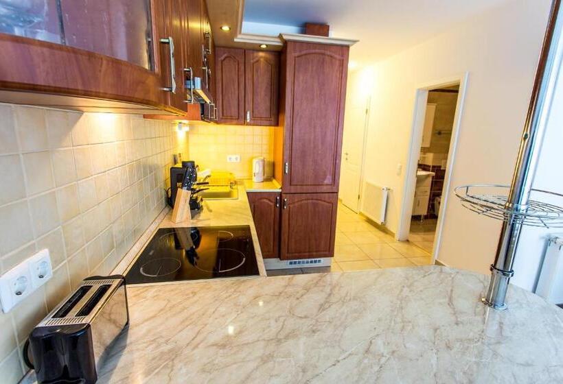 Апартаменты 1 Спальня, Luxury Apartment Hotel Siófok