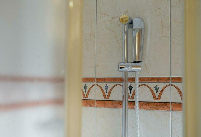 스탠다드 룸, Walliserhof