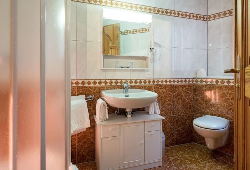 스탠다드 전망 룸, Walliserhof