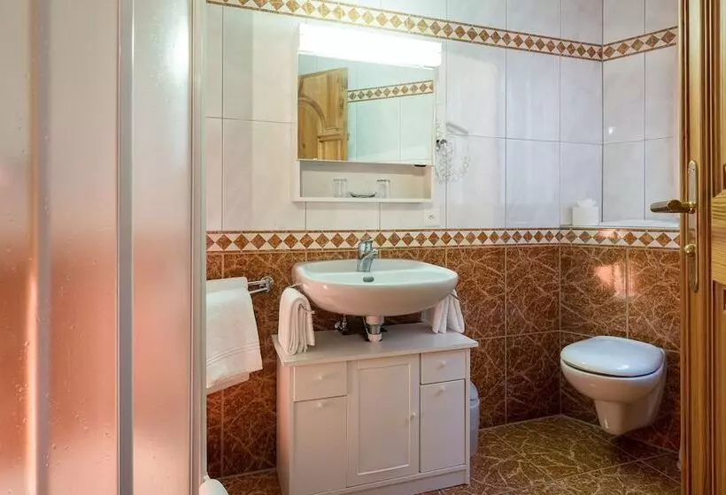 Standardzimmer mit Ausblick, Walliserhof