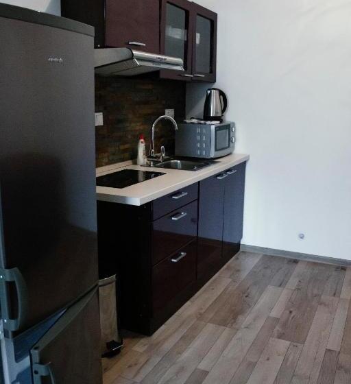 1ベッドルームアパートメント, Penzion Anesis   Apartmány