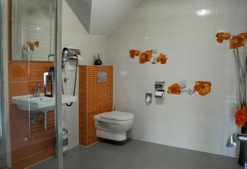 1ベッドルームのスーペリアアパートメント, Penzion Anesis   Apartmány