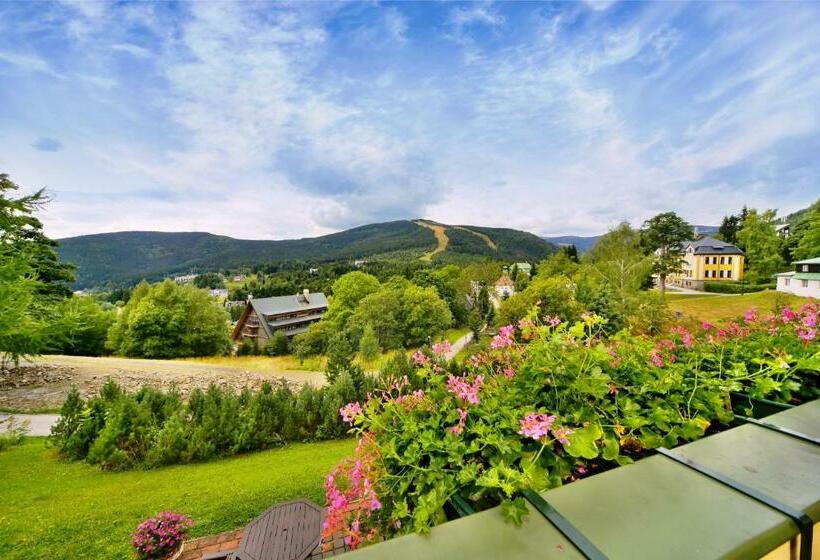 标准间带阳台, Pension Silva